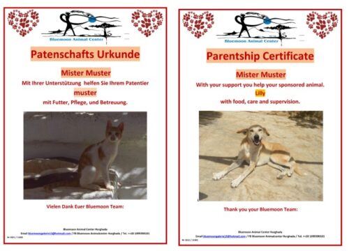 Parentship