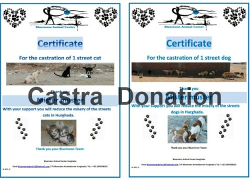 Castra Donation
