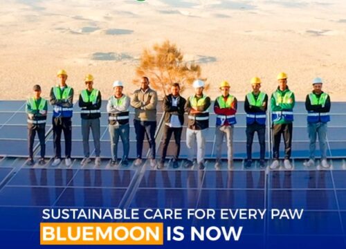 The Bluemoon Farm gets Solar Power
