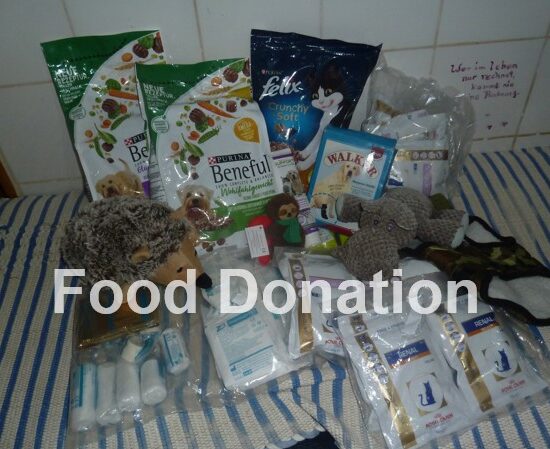 Food Donation