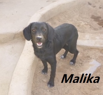 Malika