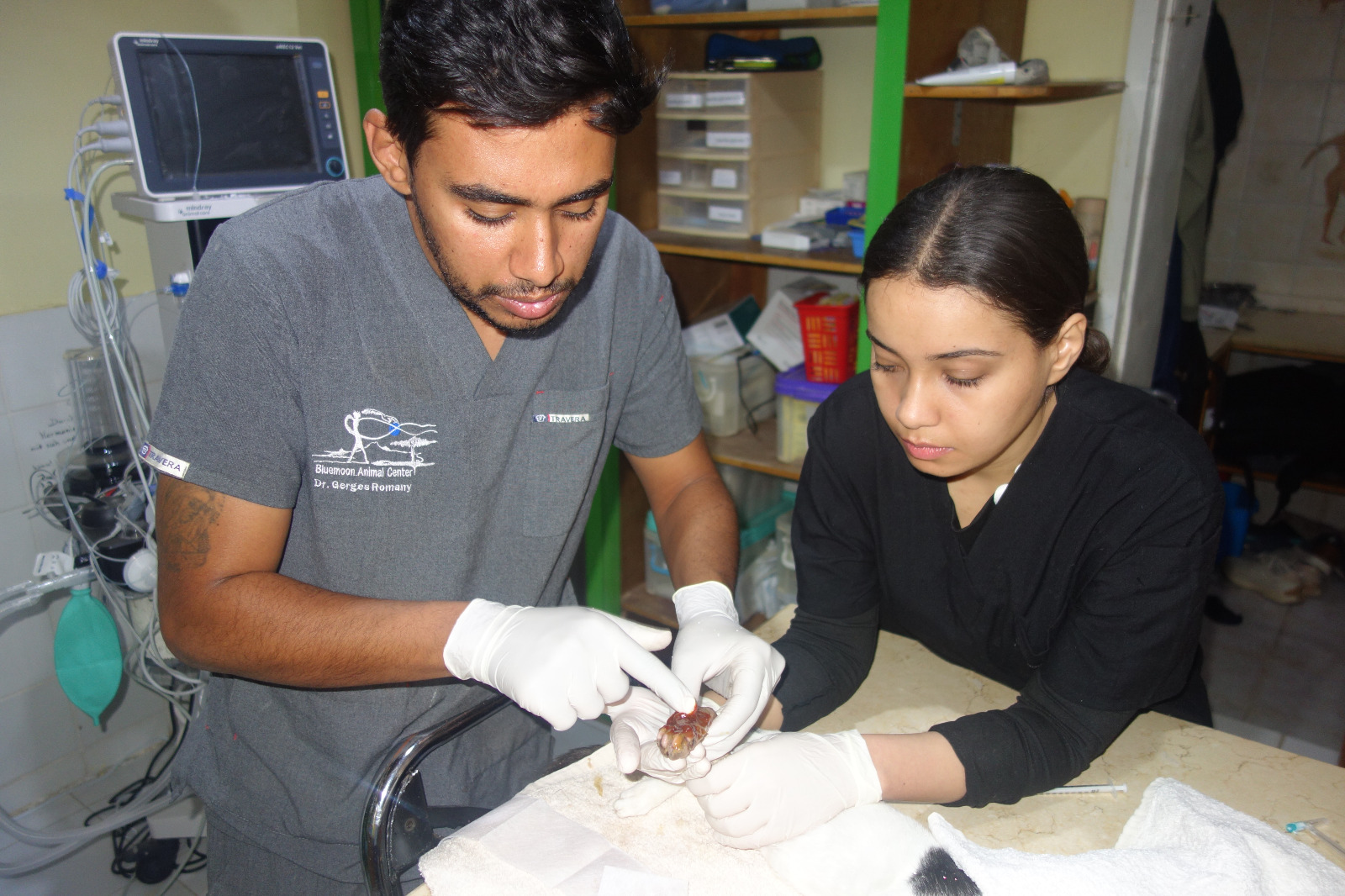 Clinic Hurghada