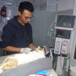 WhatsApp Image 2026-01-04 at 15.16.46