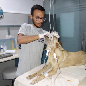 WhatsApp Image 2026-01-04 at 15.16.47 2