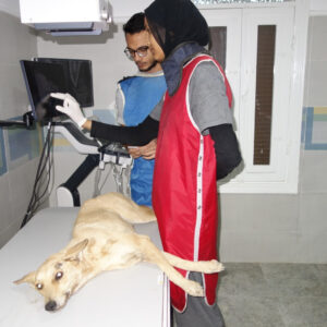 WhatsApp Image 2026-01-04 at 15.16.47 3