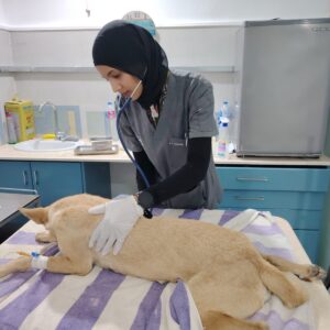 WhatsApp Image 2026-01-04 at 15.16.47