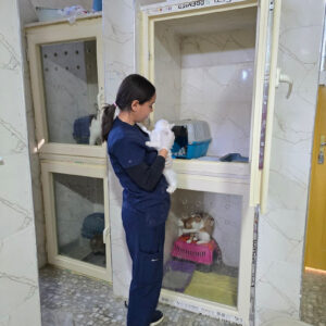 WhatsApp Image 2026-01-04 at 15.16.47 4