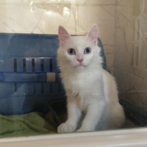 WhatsApp Image 2026-01-04 at 15.16.48 2