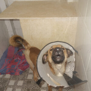 WhatsApp Image 2026-01-04 at 15.16.48