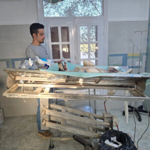 WhatsApp Image 2026-01-04 at 15.21.46 2